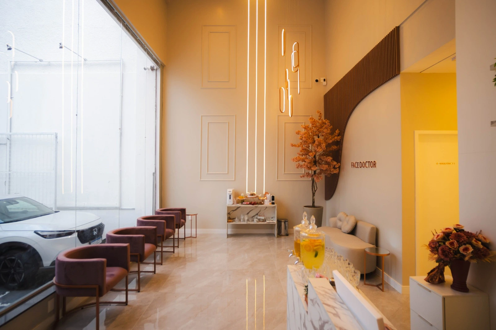 Franquia de estética Face Doctor - interno 2